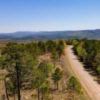 292 Acres with Beautiful Mountain Views Excellent Hunting and Development Potential