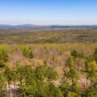 292 Acres with Beautiful Mountain Views Excellent Hunting and Development Potential images 2