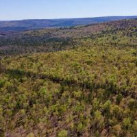 292 Acres with Beautiful Mountain Views Excellent Hunting and Development Potential images 3