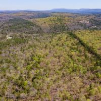 292 Acres with Beautiful Mountain Views Excellent Hunting and Development Potential images 4