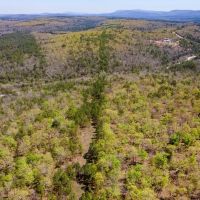292 Acres with Beautiful Mountain Views Excellent Hunting and Development Potential images 5