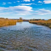 Madison Bend Ranch images 5