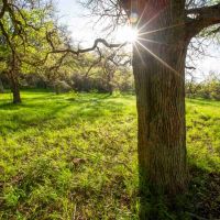 Twin Lakes Ranch images 3