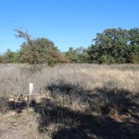 Quality oaks and homesites 50 miles from Downtown Ft. Worth images 4