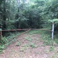35.50 Acres in Simpson County Mississippi images 5