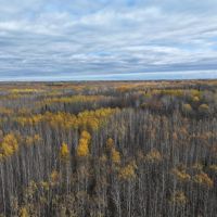 Minnesota s Wilderness Gem 280 images 3