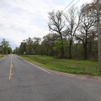 LA - Ouachita 77 acres - images 2