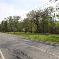 LA - Ouachita 77 acres - images 4