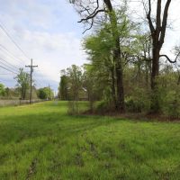 LA - Ouachita 77 acres - images 5