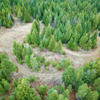 20 Acres w Shop Pole Building…