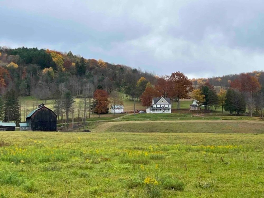 74 acres Farmhouse with Barns in Lockwood NY 2321 Wyncoop Creek Road featured image