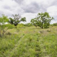 Lowe Ranch North images 3