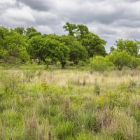 Lowe Ranch North images 4