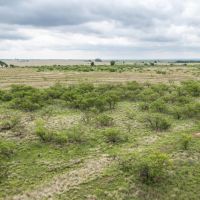 Lowe Ranch North images 5