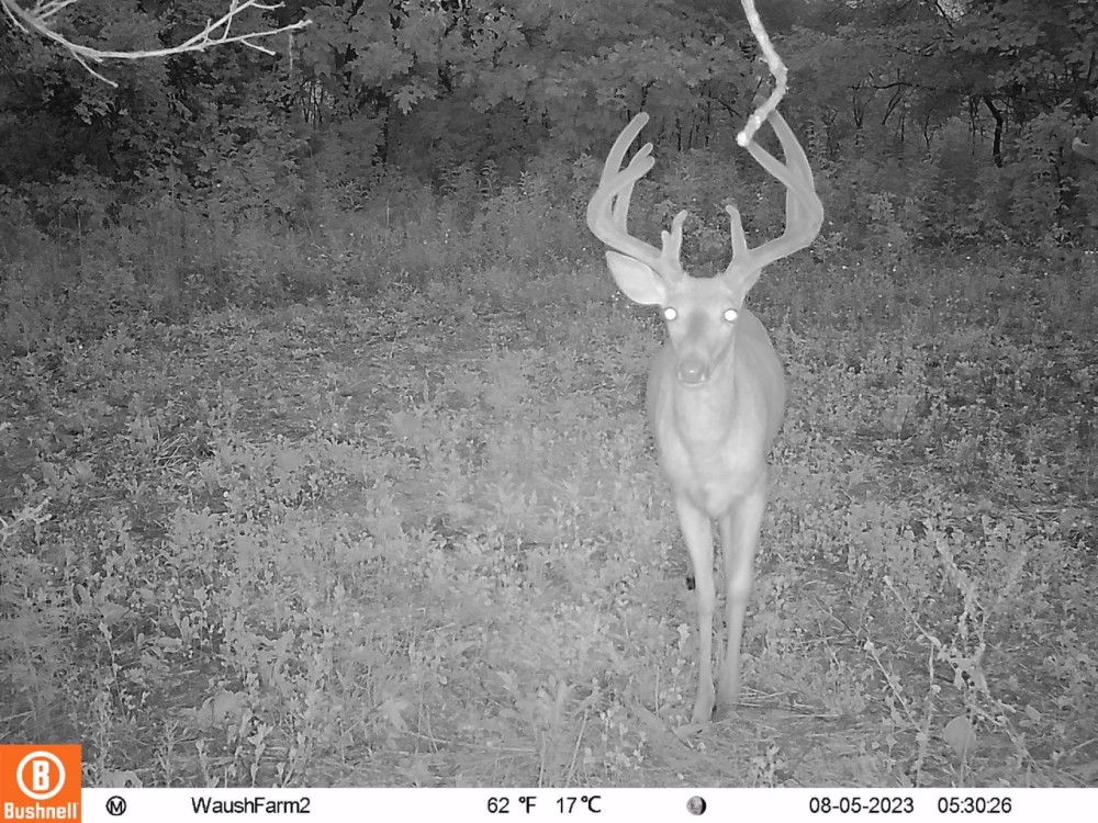 Quality hunting building recreational property featured image