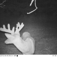 Quality hunting building recreational property images 2