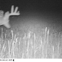 Quality hunting building recreational property images 5