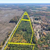 23 Acres Hwy 37 T-2 Kiskadee images 2