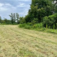 42 Acres - Inman South Carolina images 2