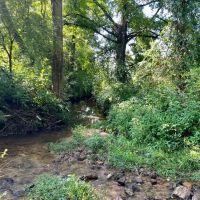 42 Acres - Inman South Carolina images 3