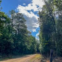 75 Acres T-4 CR 364 images 5