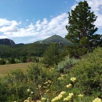 Arrowhead Ranch images 3