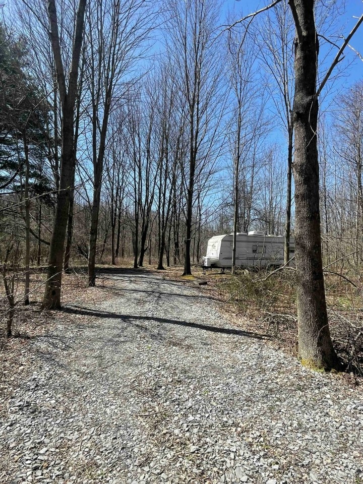19 acres Woodlands with a Camper in Conesus NY Partridge Corners Road between Conesus Lake and Hemlock Lake featured image