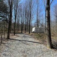 19 acres Woodlands with a Camper in Conesus NY Partridge Corners Road between Conesus Lake and Hemlock Lake