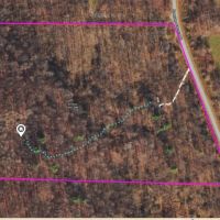 19 acres Woodlands with a Camper in Conesus NY Partridge Corners Road between Conesus Lake and Hemlock Lake images 4