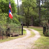 907 Davis Road Colmesneil Texas 75938-2461 Tyler County images 4