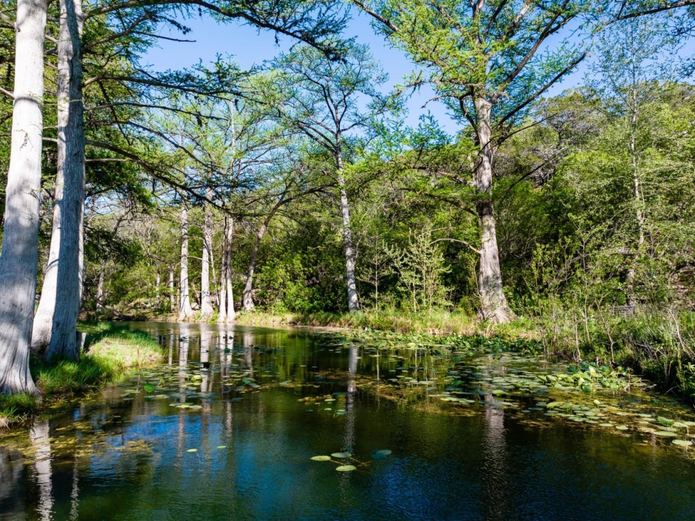 New Property featured image