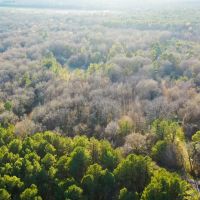Hunting Recreational Land For Sale Clarksville TX images 5