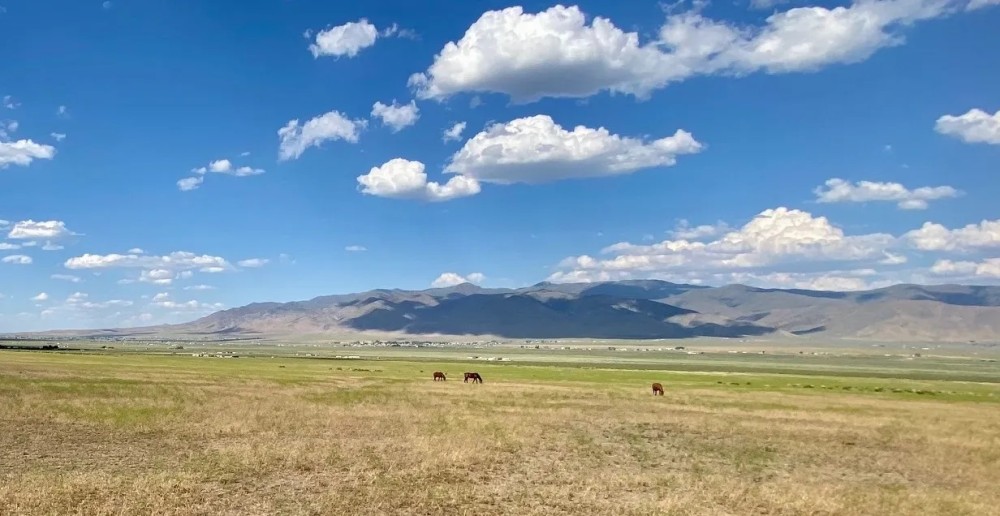 Large acreage close to Winnemucca NV town featured image