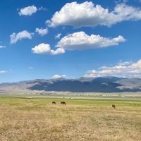 Large acreage close to Winnemucca NV town