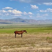 Large acreage close to Winnemucca NV town images 2