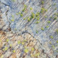 Hwy 301 Mini Farm 2 images 4
