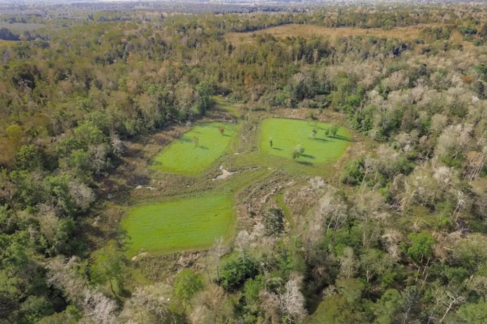 631 Acres Timberland on Tickfaw River St Helena Parish LA featured image