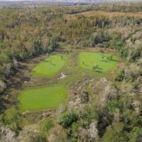 631 Acres Timberland on Tickfaw River St Helena Parish LA
