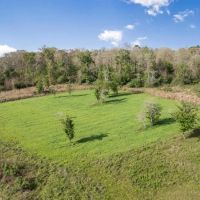 631 Acres Timberland on Tickfaw River St Helena Parish LA images 3