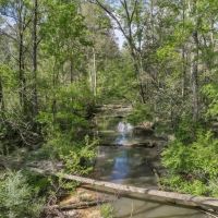 631 Acres Timberland on Tickfaw River St Helena Parish LA images 4