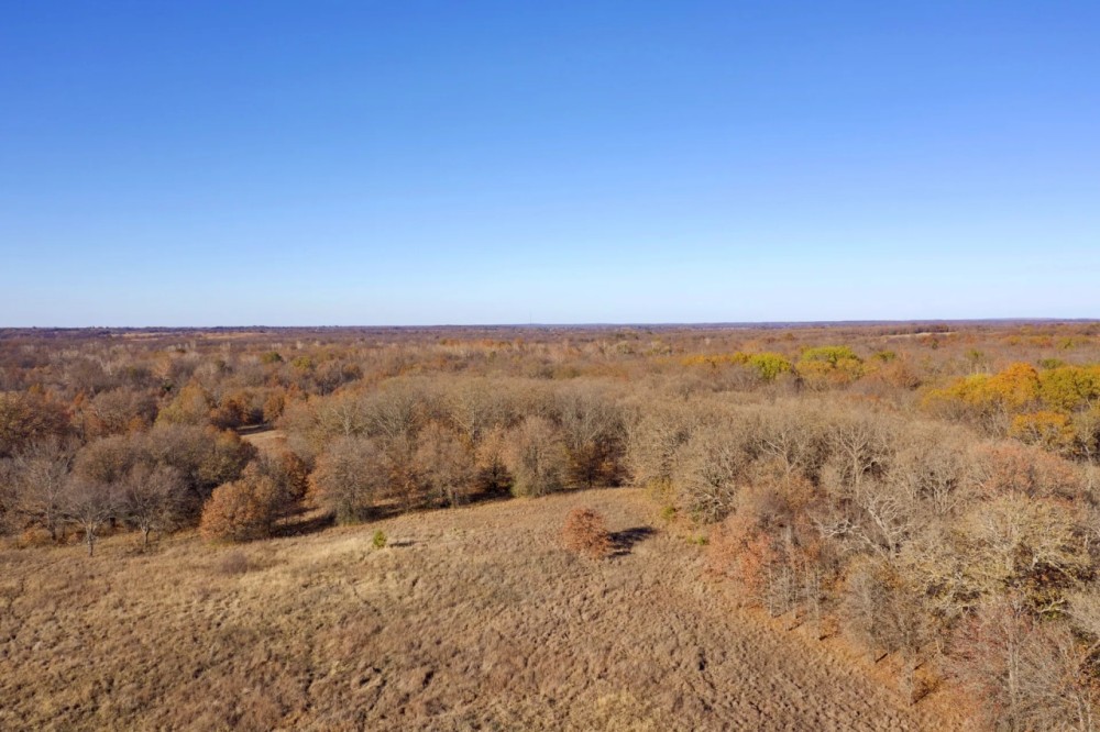 Great 20-Acre Tract featured image