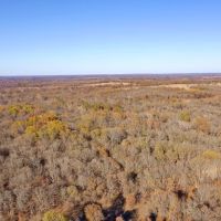 Great 20-Acre Tract images 4