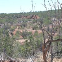 Loehr Ranch images 4