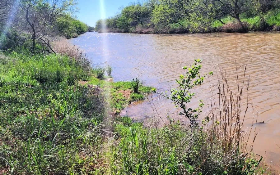 Texas Colorado River Ranch near San Angelo featured image