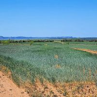 Texas Colorado River Ranch near San Angelo images 2