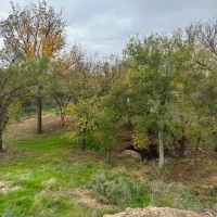 Texas Colorado River Ranch near San Angelo images 3