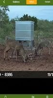 Texas Colorado River Ranch near San Angelo images 4