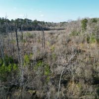 LA - Ouachita 50 acres -