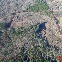 LA - Ouachita 50 acres - images 2