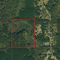 LA - Ouachita 50 acres - images 3